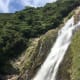 your-guide-to-yakushima-with-no-car