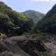 your-guide-to-yakushima-with-no-car