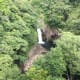 your-guide-to-yakushima-with-no-car
