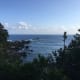 your-guide-to-yakushima-with-no-car