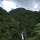 your-guide-to-yakushima-with-no-car