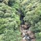 your-guide-to-yakushima-with-no-car