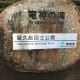 your-guide-to-yakushima-with-no-car