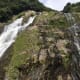 your-guide-to-yakushima-with-no-car