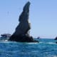 Seabirds on the rock formations at Cabo San Lucas