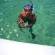 Puffer fish found while snorkeling at Cabo San Lucas