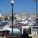 Sea Lions at the Cabo San Lucas Marina