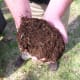 In the above photo is compost that has went through the process of breaking down. When it is this mature you can apply it around your vegetable plants.