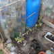 plasticbottlegreenhouse