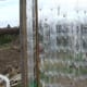 plasticbottlegreenhouse