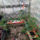 plasticbottlegreenhouse