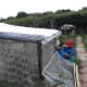 plasticbottlegreenhouse