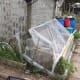 The added 'cloche' at one end. Last year it was an unsucessful hot bed, now its got melons in (if the slugs haven't eaten them yet!)