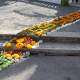 A Flower Carpet