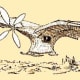 Ader Eole - 1890