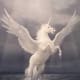 Pegasus