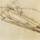 Drawing of a flying machine Leonardo-da-Vinci