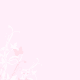Pink butterflies Quinceanera announcment