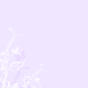 Purple butterflies Quince Anos invite
