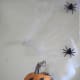 Put your pumpkin under spider web and put spiders around it like it is under attack.