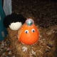 This pumpkin has a light on its head and crusty skin.