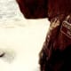 images-hiking-san-francisco-cliff-house-and-sutro-baths