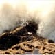This dangerous surf was close enough for me!