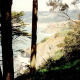 Gorgeous wild environs