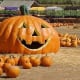 jack-o-lantern-templates