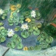 goldfish_information