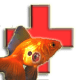 goldfish_information