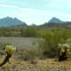 Desert View near our Quartzsite boondocking site.