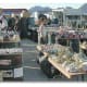 Quartzsite Gem and Mineral show