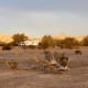 Campsite at LaPosa South BLM near Quartzsite, AZ