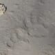 best-tiger-reserves-in-india