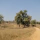 best-tiger-reserves-in-india
