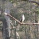 best-tiger-reserves-in-india