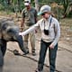 best-tiger-reserves-in-india