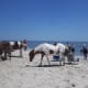 lets-go-to-the-beach