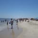 Assateague Island in the summer.