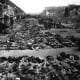 The 'Final Solution'