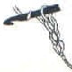 Starter or Foundtion Chain