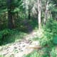 Steep Pathway, there are steps built in to make it easier, it's still a hike directly downhill!