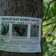 Emerald Ash Borer control effort, please do not disturb