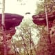 Stand Rock & the dog jumping performance at Wisconsin Dells