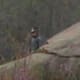 Devils Den Ghost Photo From Gettysburg