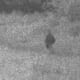 Ghost In The Field At Gettysburg