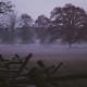 Gettysburg Battlefield