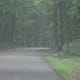 Ghost On The Roadside Gettysburg