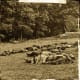 Great Ghosts of Gettysburg Between the first and the third of July, 1863, more blood was shed in a formerly little-known Adams County farm community than at any battle in history. The deaths on the battlefield at Gettysburg numbered 7,500, and probab